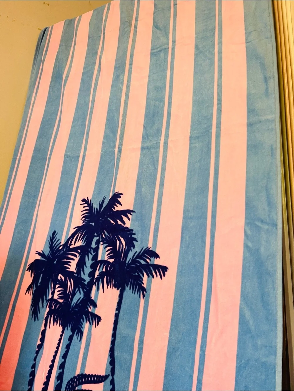 Lacoste vibrant striped